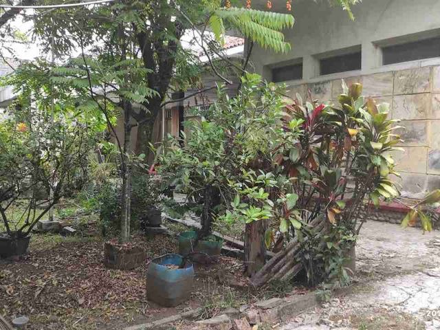 place photo 9