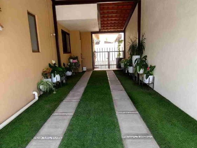 place photo 31