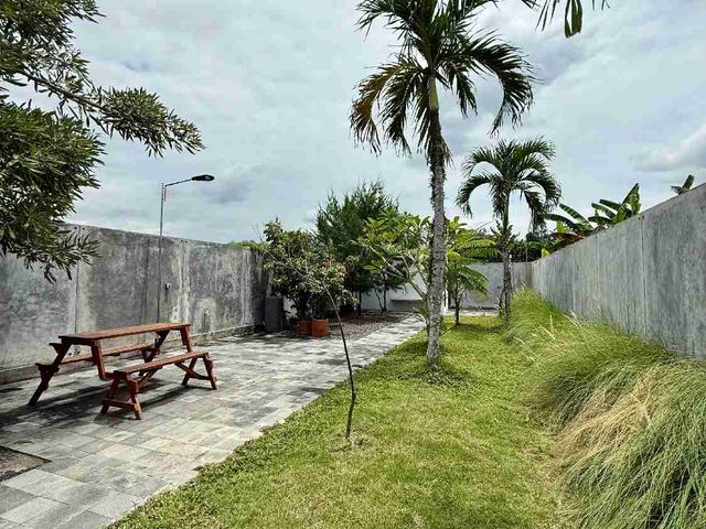 place photo 39