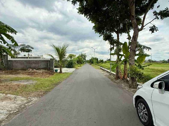 place photo 37