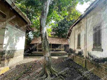 place photo 19