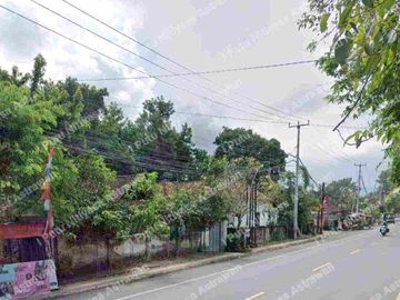 place photo 30