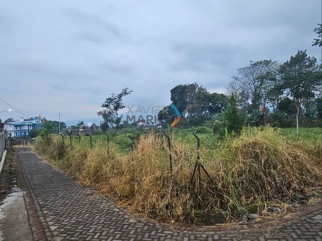 place photo 22