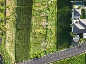 place photo 24