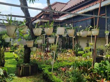 place photo 30