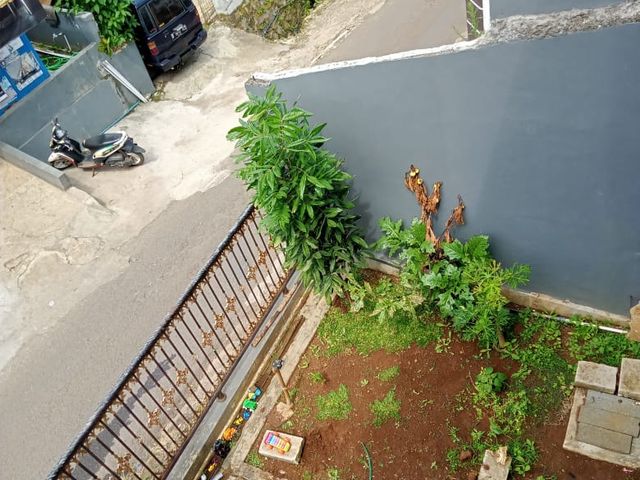 place photo 17