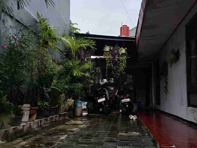 place photo 13