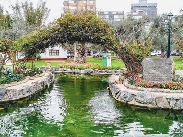 place photo 12