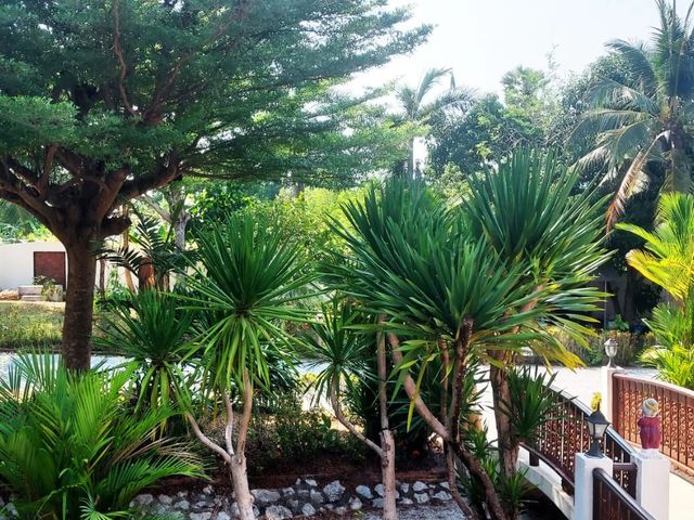 place photo 36