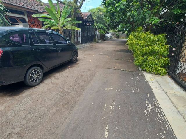 place photo 13