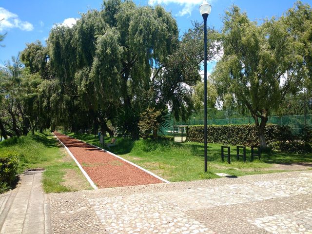 place photo 23