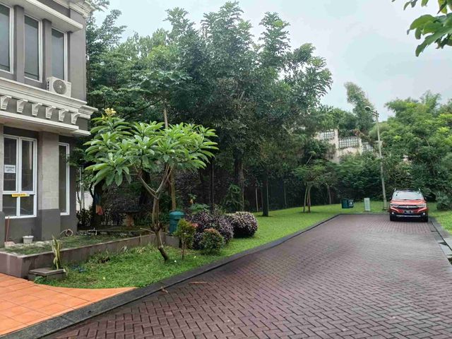 place photo 24