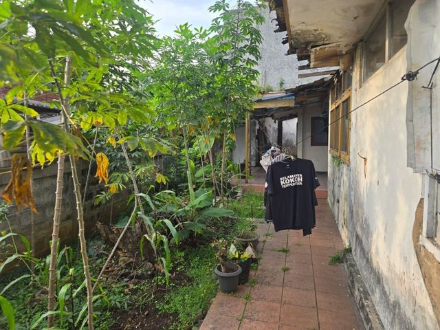 place photo 10