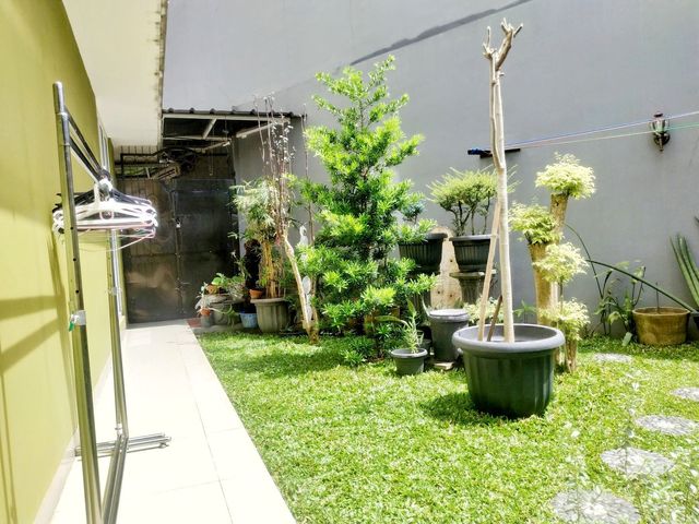 place photo 25