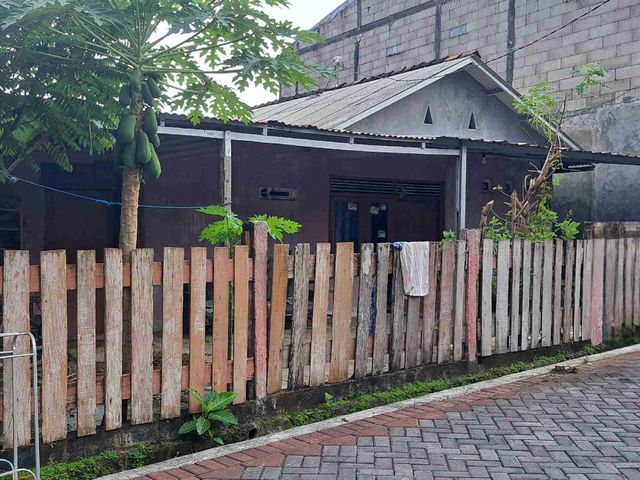 place photo 3