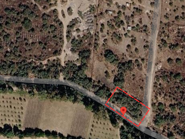 Lote Soledad