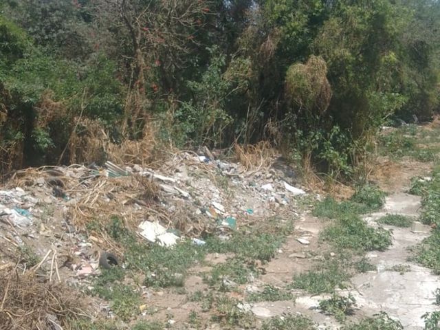 place photo 8