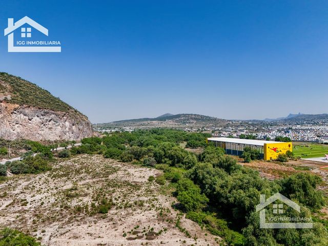 place photo 39
