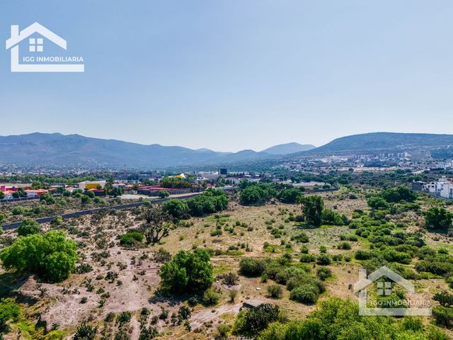 place photo 45