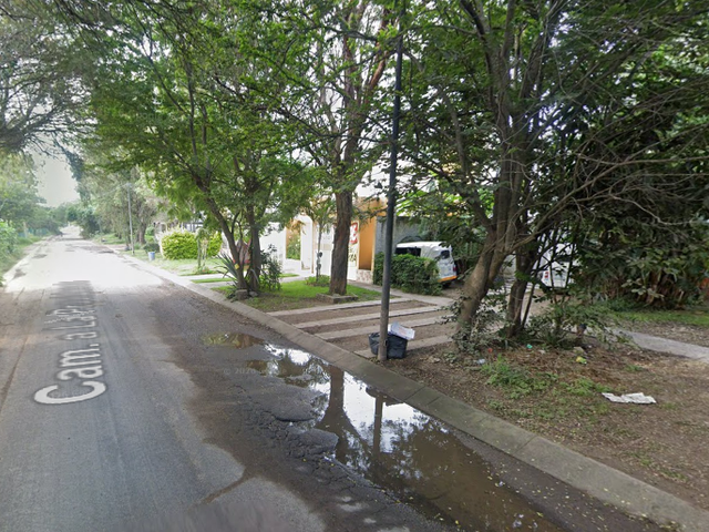 place photo 15