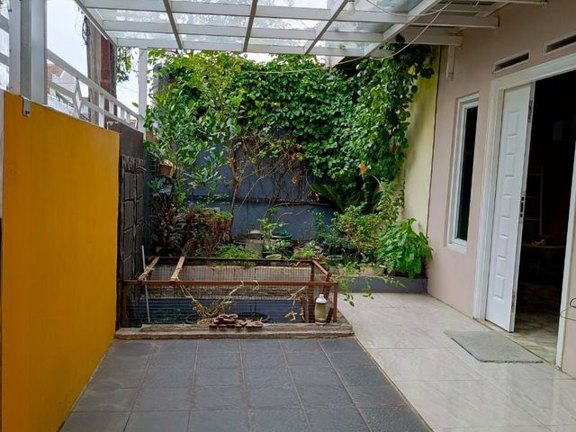 place photo 13