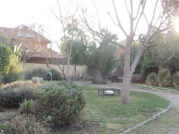 place photo 58