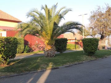 place photo 60