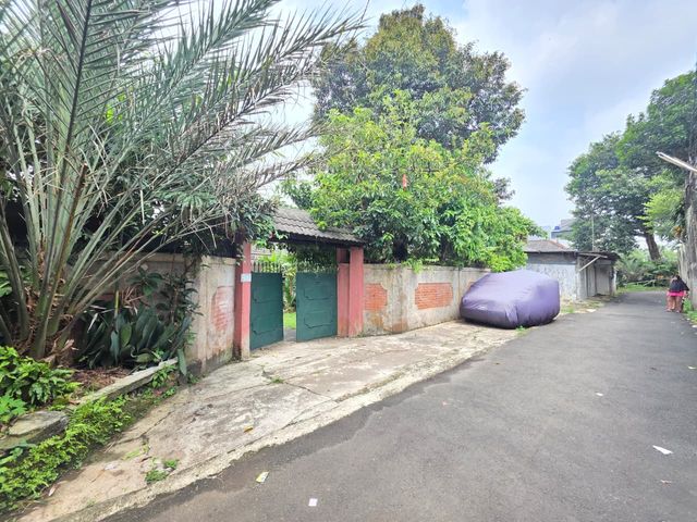 place photo 18