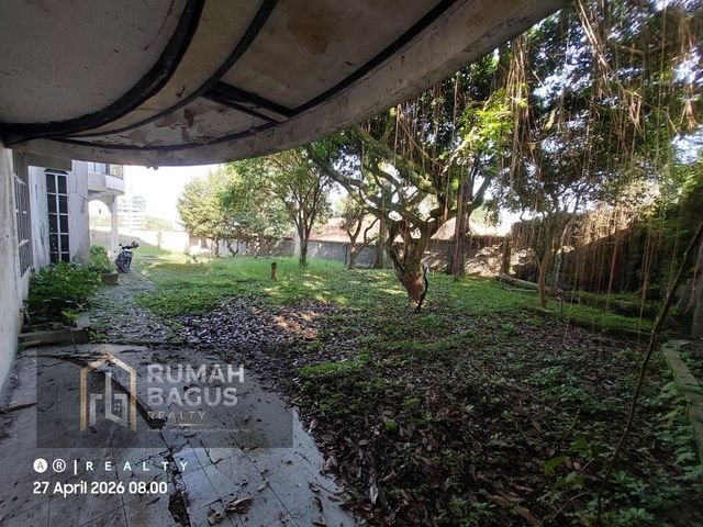 place photo 21