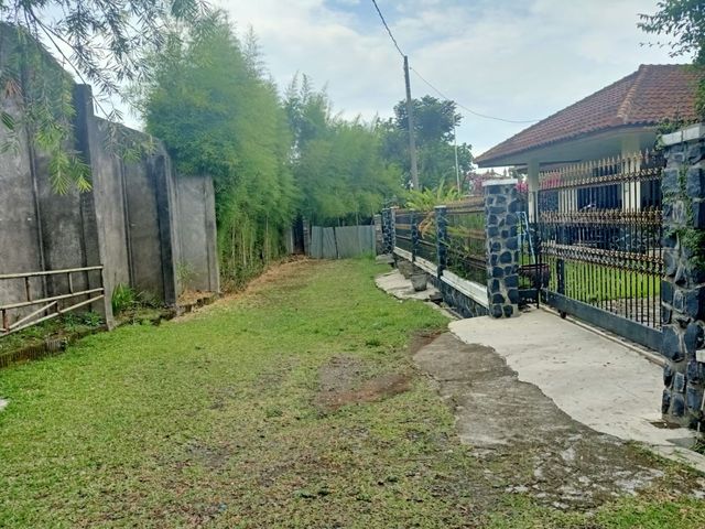 place photo 22