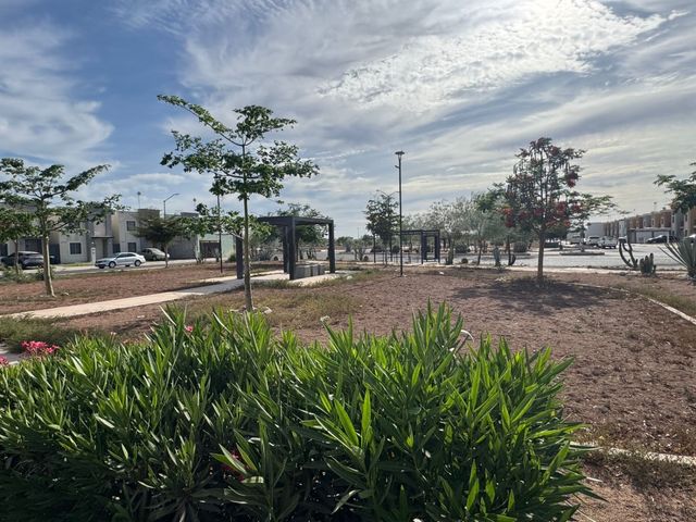 place photo 29