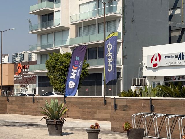 place photo 37