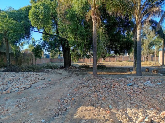 place photo 5