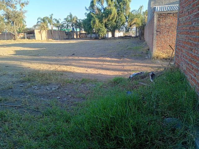 place photo 25