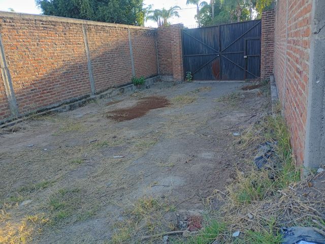 place photo 24