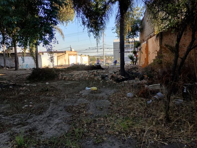 place photo 22