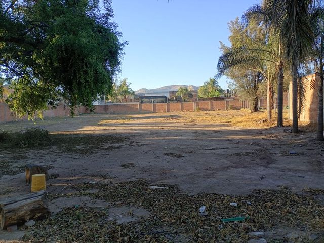place photo 7