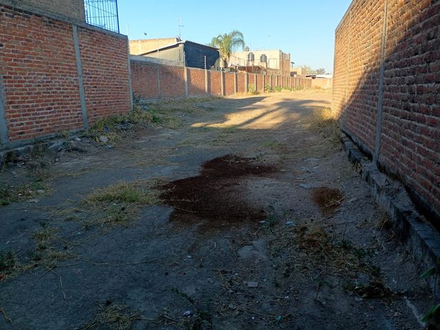 place photo 23