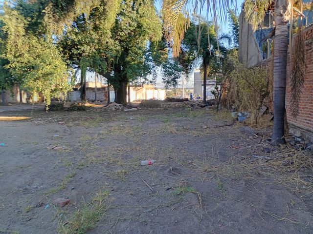 place photo 28
