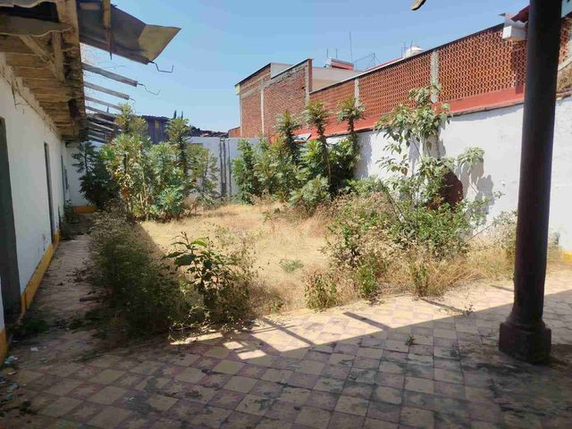 place photo 20