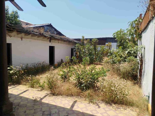 place photo 24