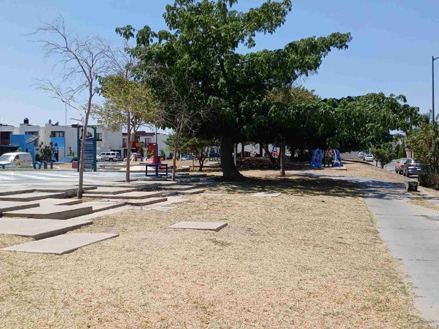 place photo 14