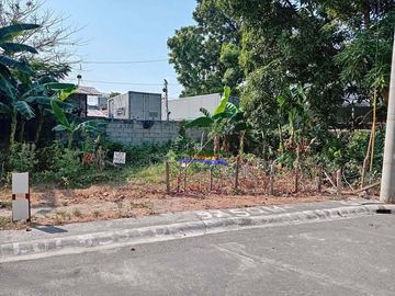 RESIDENTIAL LOT FOR SALE IN CAINTA RIZAL