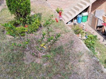 place photo 43