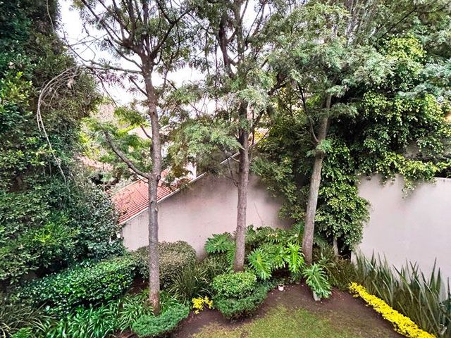 place photo 67