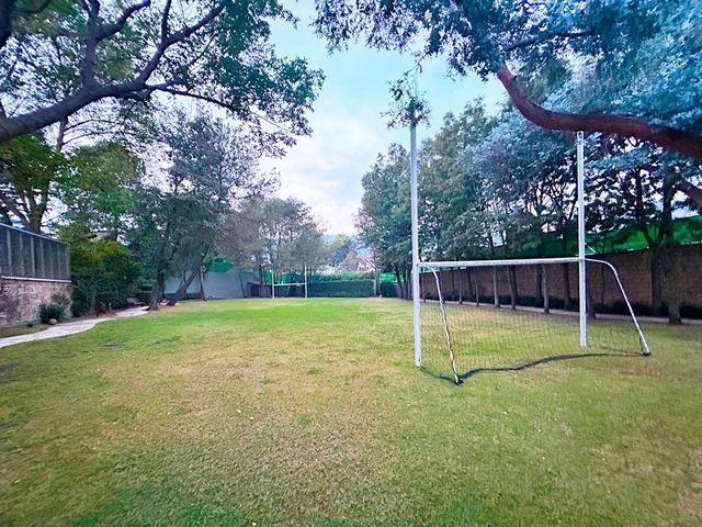 place photo 75
