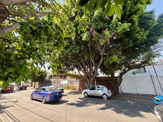 place photo 6