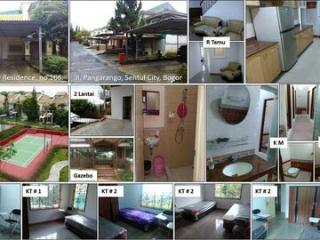 place photo 11