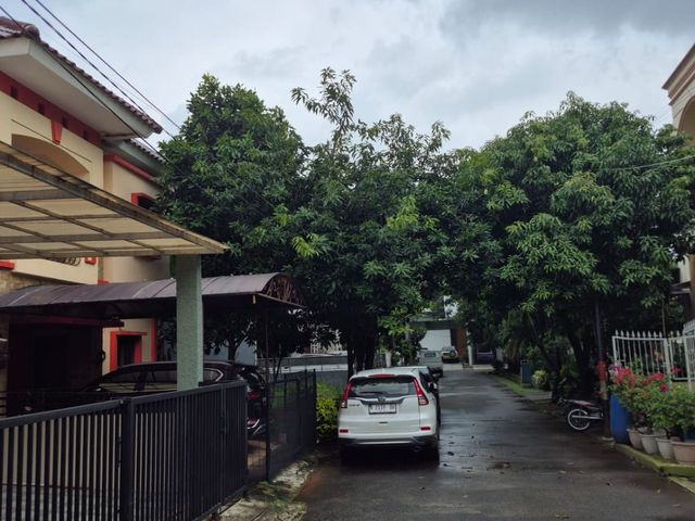 place photo 34