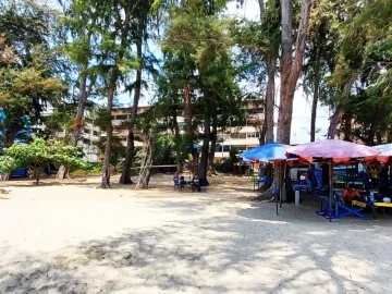 place photo 34